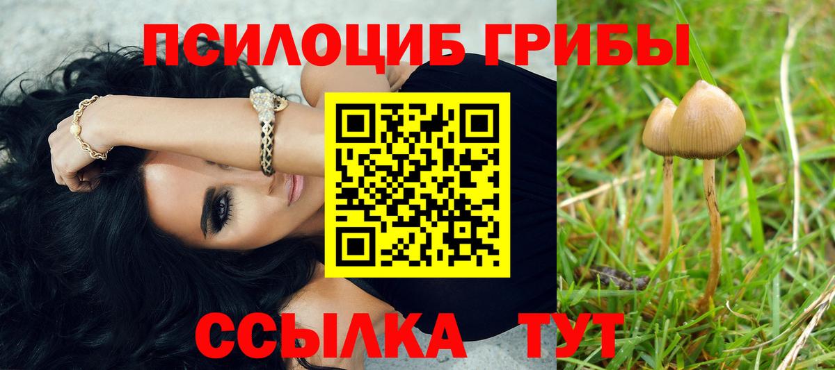 Наро-Фоминск  Галлюциногенные грибы ЛСД  Галлюциногенные грибы мицелий  Вход с VPN 
