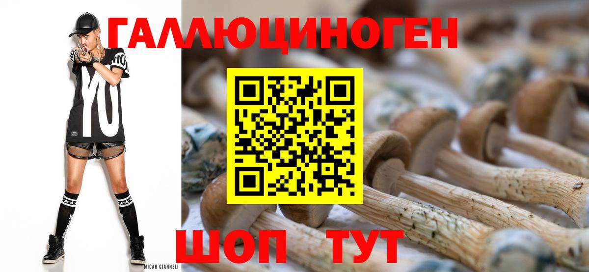 Псилоцибиновые грибы прущие грибы Наро-Фоминск