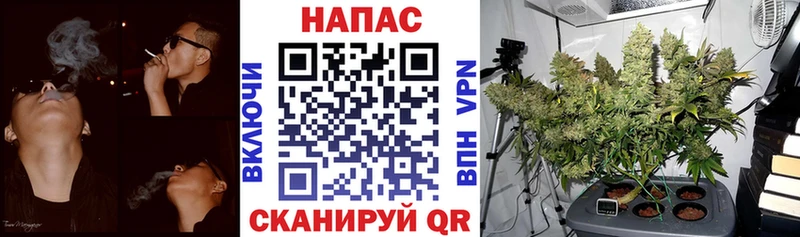 где найти наркотики Наро-Фоминск ссылка на мегу ONION Шишки марихуана марихуана